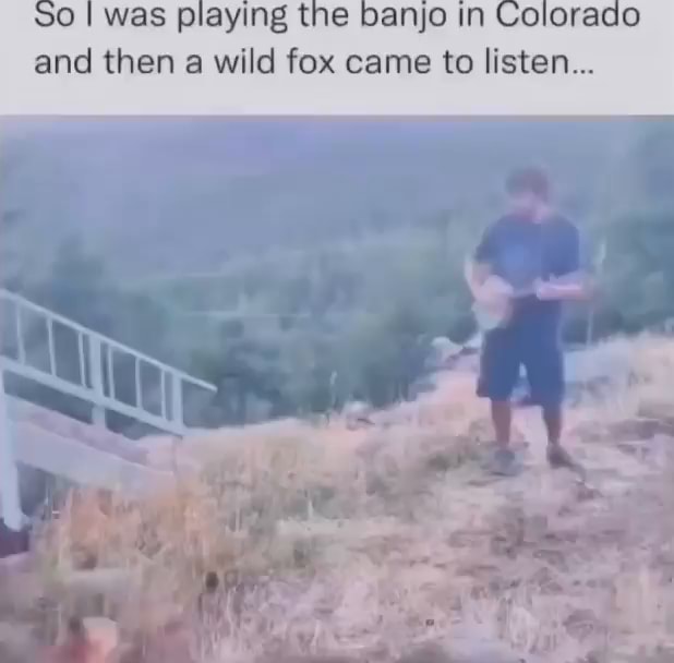 SO I was playing the banjo in Colorado and then a wild fox came to