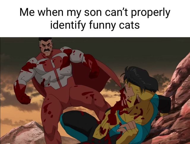 Me when my son can't properly identify funny cats - iFunny