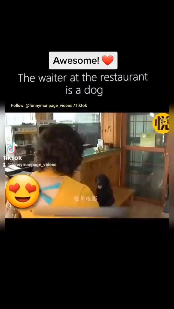 Awesome! The waiter at the restaurant is a dog Follow: @funnymanpage ...