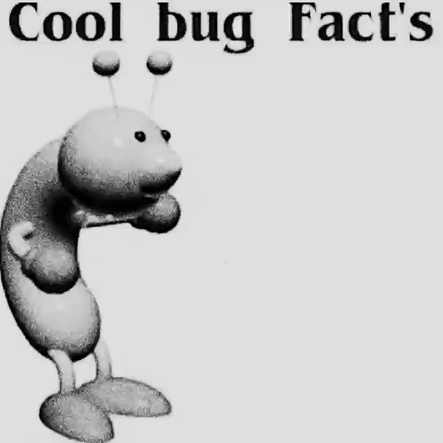 cool-bug-fact-s-seo-title