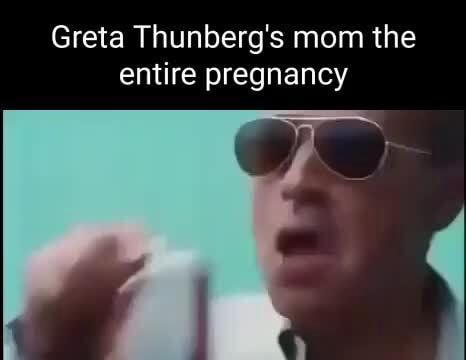 Greta Thunberg's mom the entire pregnancy - iFunny
