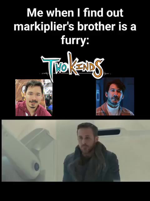 Me when I find out markiplier's brother is a furry: - iFunny Brazil