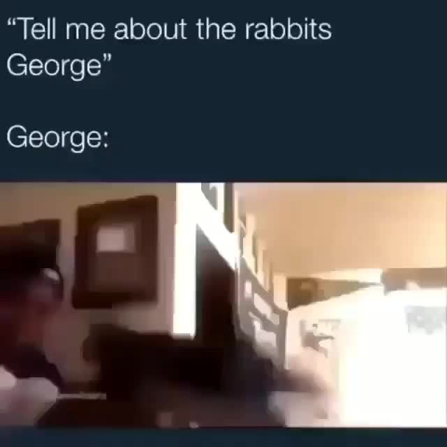  tell me about the rabbits george george ifunny