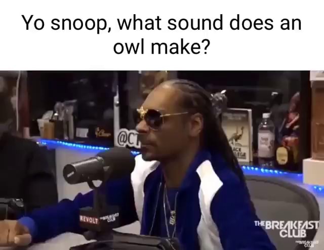 yo-snoop-what-sound-does-an-owl-make-al-ed-0-ry-ifunny