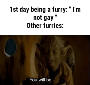 im not gay meme furry
