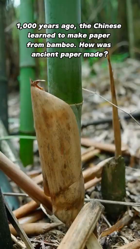 000 years ago, the Chinese learned to make paper from bamboo. How was