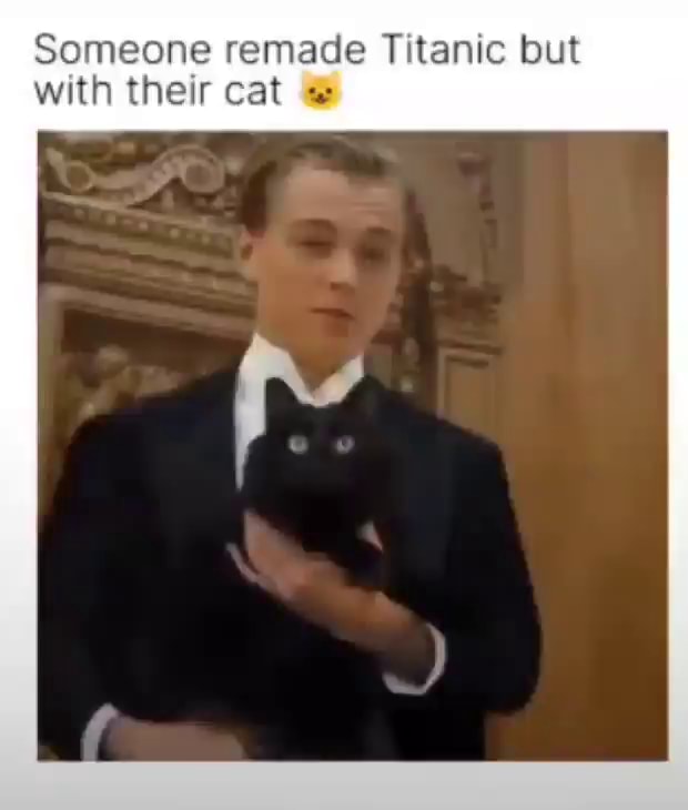 Someone remade Titanic but with their cat - iFunny