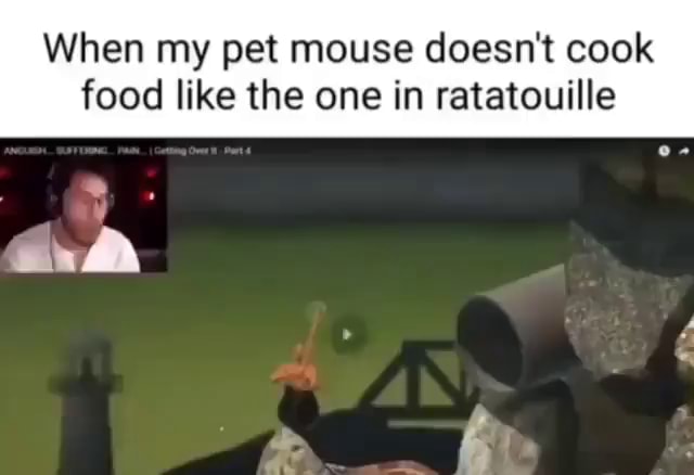 When my pet mouse doesn't cook food like the one in ratatouille an - iFunny