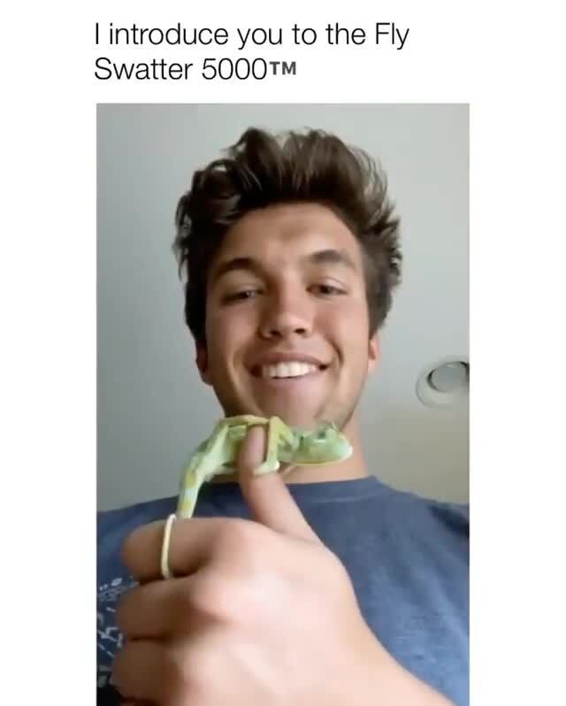 Introduce you to the Fly Swatter )