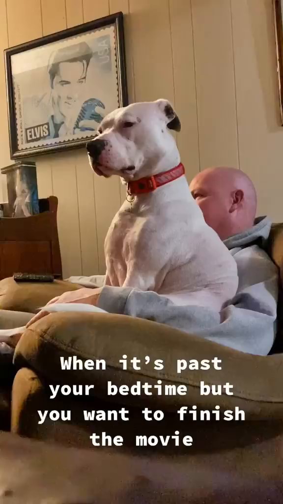 When it's past your bedtime but you want to finish the movie America