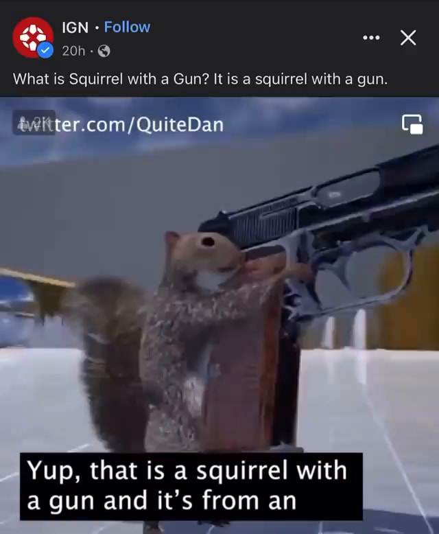 What Is Squirrel With A Gun It Is A Squirrel With A Gun Quitedan Ce Or Yup That Is A 3783