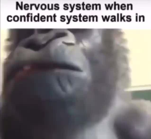 Nervous System When Confident System Walks In Nervous system when confident system walks in - iFunny