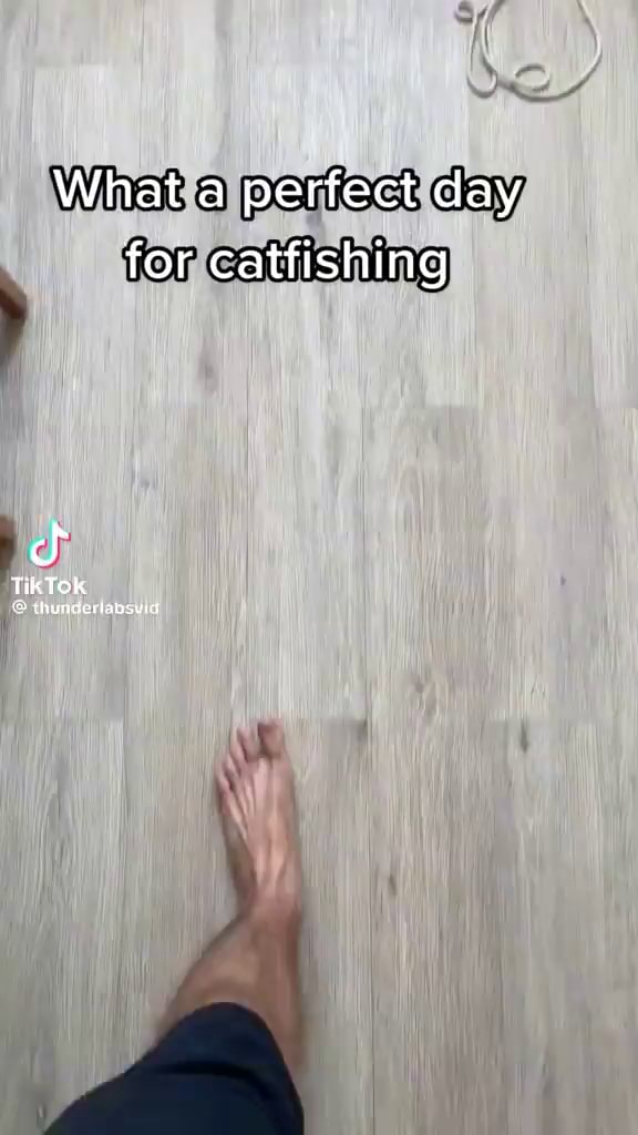 What a perfect day for catfishing TikTok iFunny