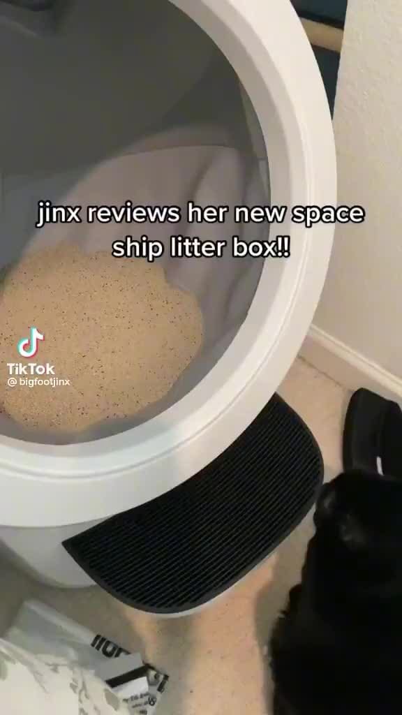 Jinx reviews her new space ship litter box! TikTok iFunny