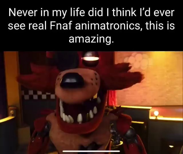 What is the least liked animatronic in FNAF? I'd put money on