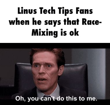 Linus tech tips fans