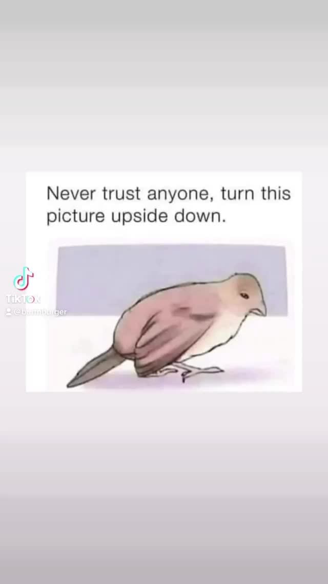 Never trust anyone, turn this picture upside down. LiLo. iFunny
