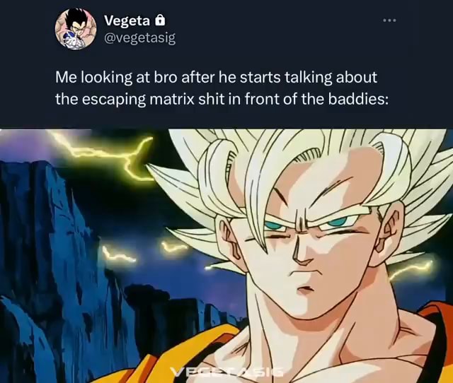 Vegeta @vegetasig Me looking at bro after he starts talking about the ...