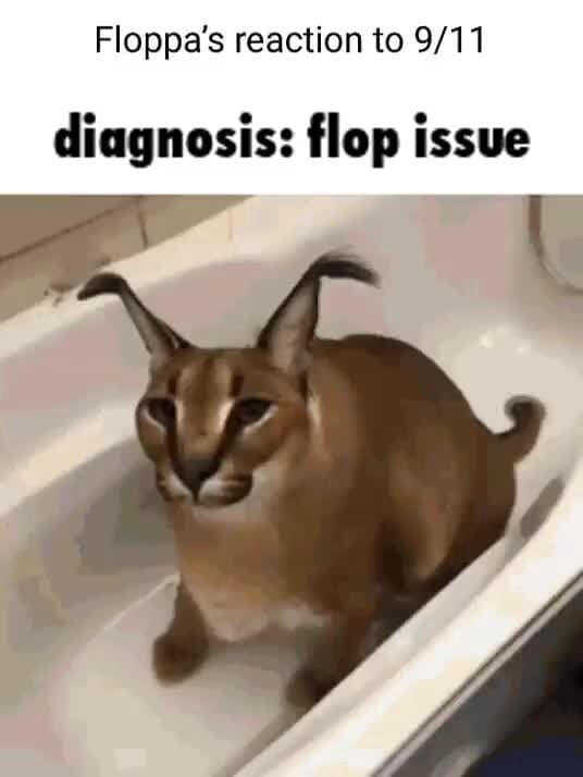 Floppa's reaction to diagnosis: flop issue - iFunny