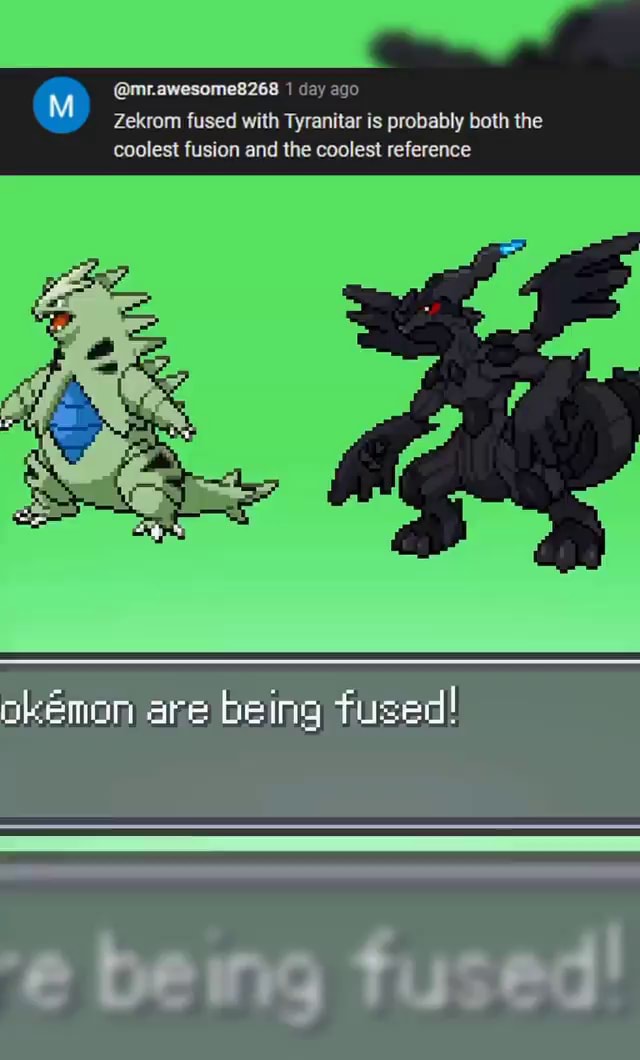 mr.awesome8268 I day ago Zekrom fused with Tyranitar is probably both the  coolest fusion and the coolest reference okemon are being tused! - iFunny
