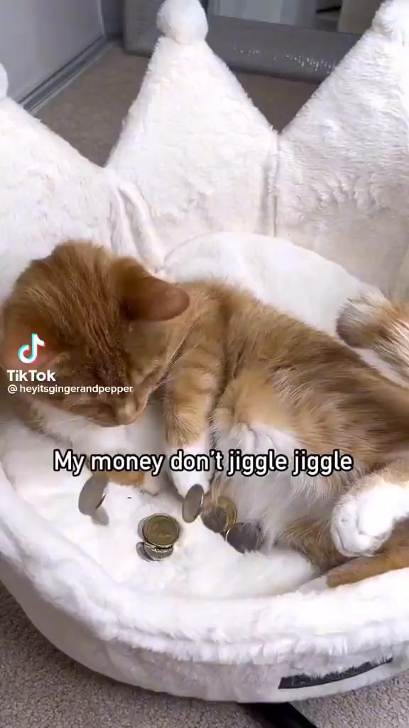 Cf TikTok SS Hevtaangciandpe One My Money Don't Jiggle Jiggle Vy . - IFunny