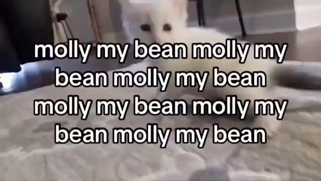 molly my bean mp3 download