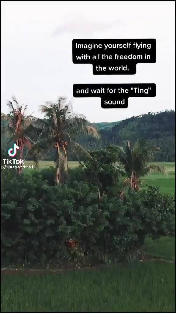Imagine yourself flying with all the freedom in the world. and wait for ...