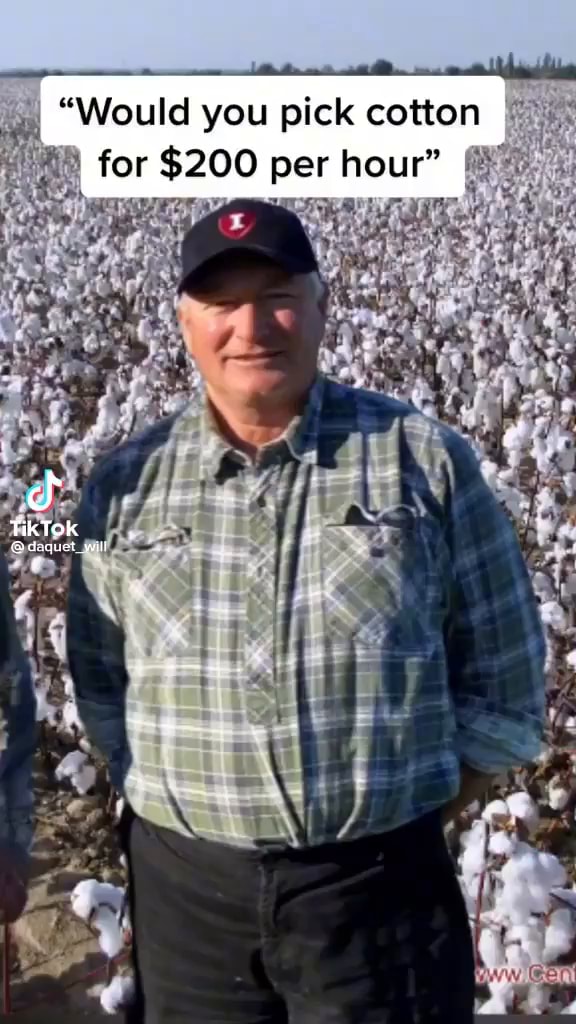 "Would you pick cotton for 200 per hour" Tik TOK Bdaquet yell )