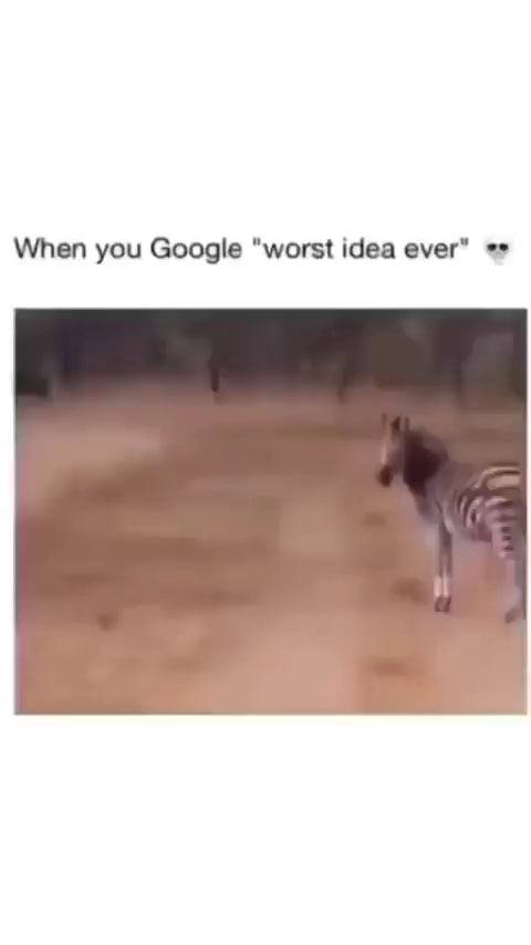 when-you-google-worst-idea-ever-ifunny