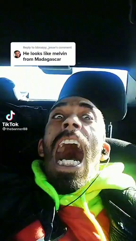 He looks like melvin from Madagascar TikTok thebanner88 - iFunny