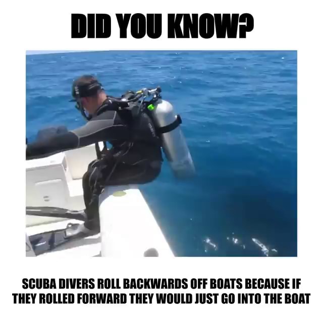 DID YOU KNOW? SCUBA DIVERS ROLL BACKWARDS OFF BOATS BECAUSE IF THEY ...