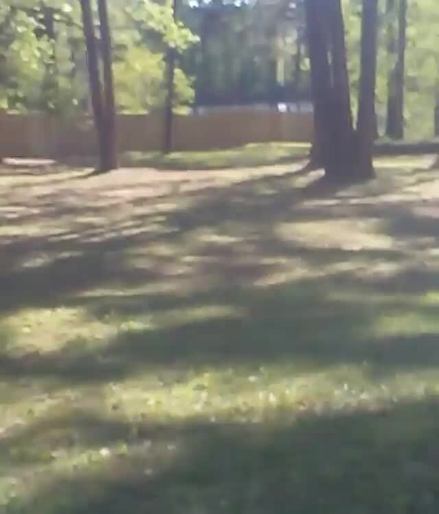 Hello Boomer - iFunny