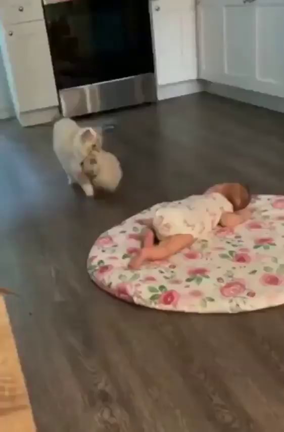 “Oh! This is the Baby Zone! I’ll just put my baby in the Baby Zone No