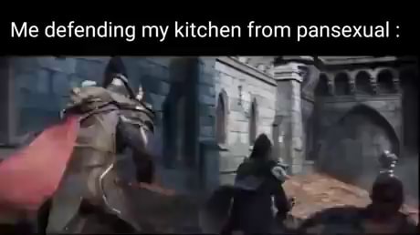 Me Defending My Kitchen from Pansexuals  