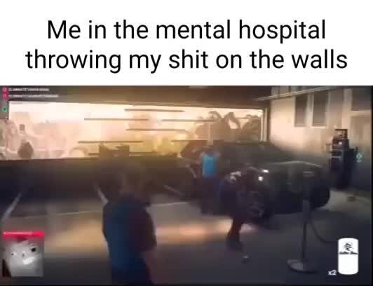 me-in-the-mental-hospital-throwing-my-shit-on-the-walls-ifunny