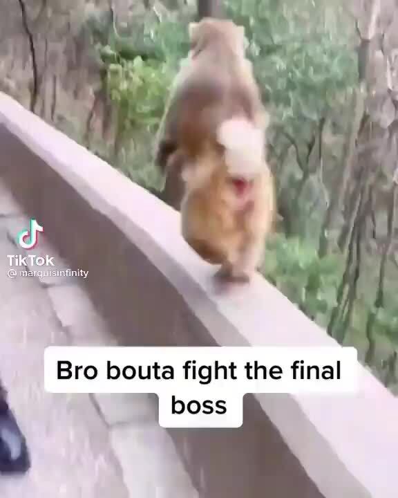 TikTok Bro bouta fight the final - iFunny