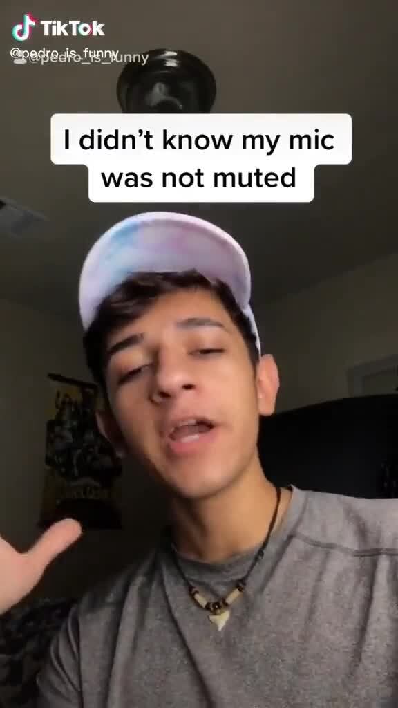 TikTok didn't know my mic was not muted - iFunny