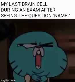 MY LAST BRAIN CELL DURING AN EXAM AFTER SEEING THE QUESTION "NAME ...