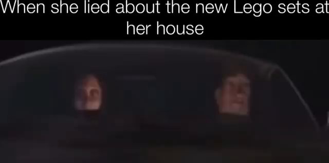 Vvnen She Lied About The New Lego Sets At Her House Ifunny