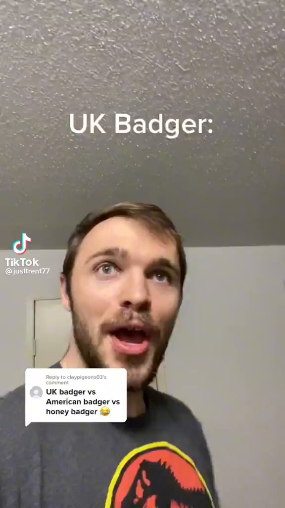 UK Badger UK badger vs American badger vs honey badger iFunny
