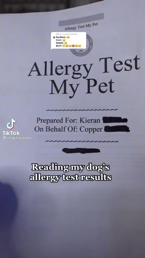 Test Sardines Allergy Test My Pet Tik Prepared For Kieran On Behalf Of Copper Reading my dog's