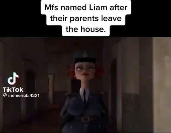 Wits named Liam after their parents leave the house. TikTok memehub.4321 - iFunny