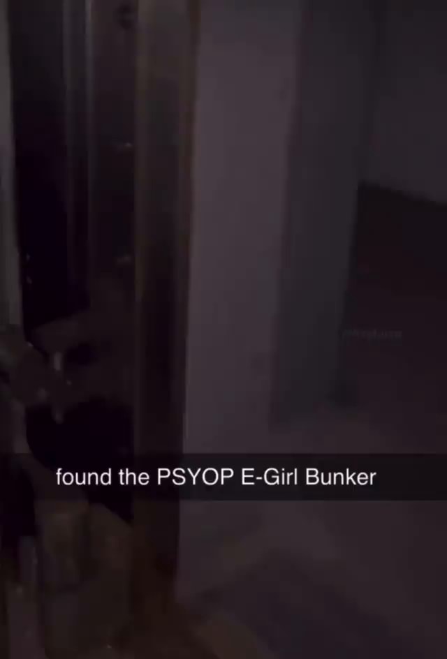 Found the PSYOP E-Girl Bunker - iFunny