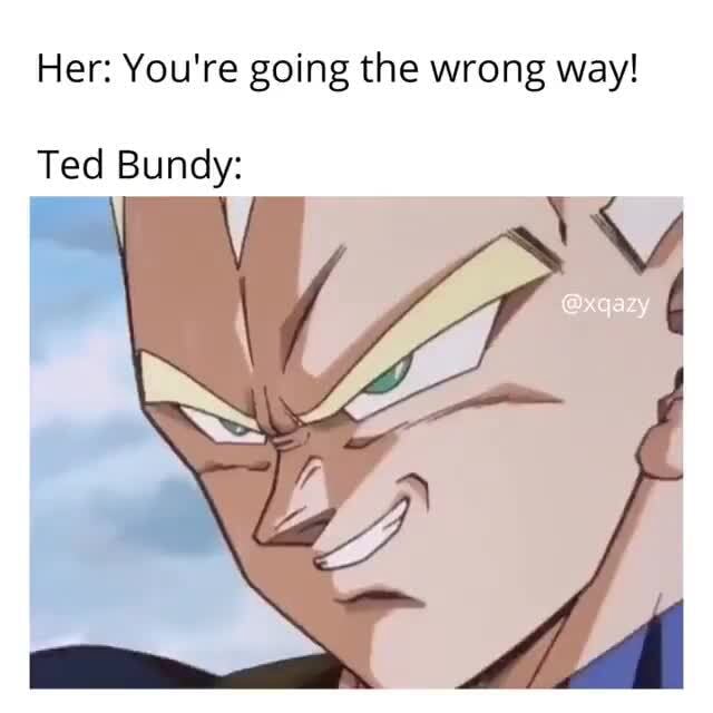 Her Youre Going The Wrong Way Ted Bundy Ifunny 