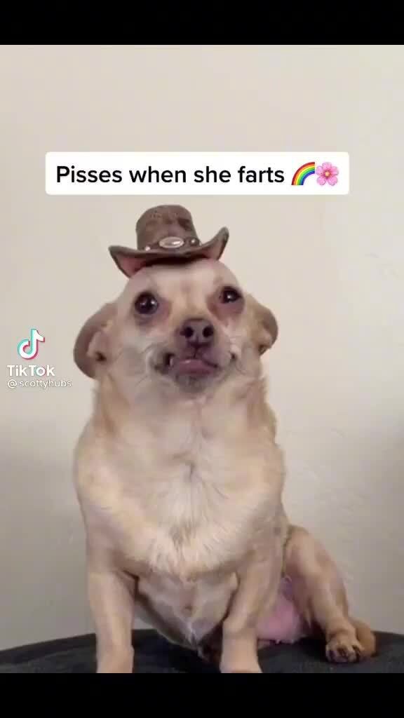 Pisses when she farts iFunny