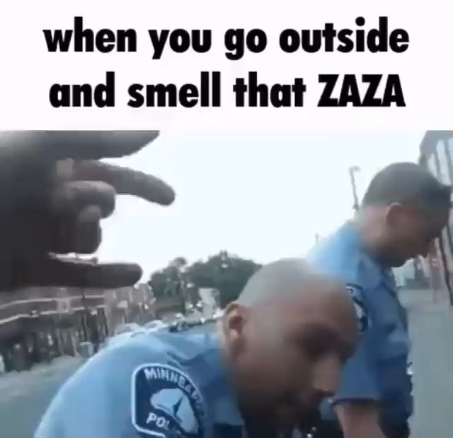 When You Go Outside And Smell That Zaza Ifunny