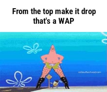 WAP': All The Best 'From The Top Make It Drop' Memes