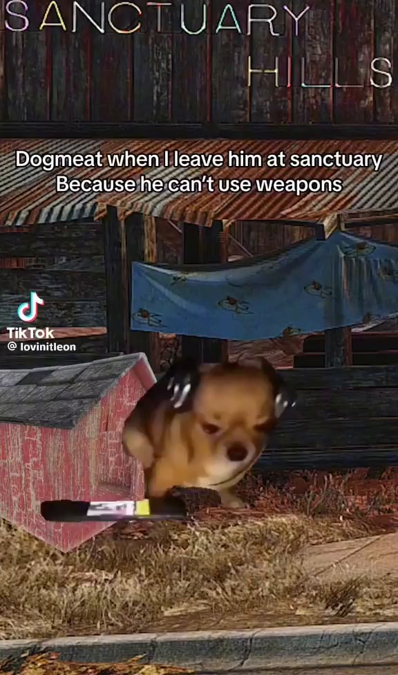 Dogmeat when I leave him at sanctuary Because he can't use weapons cS