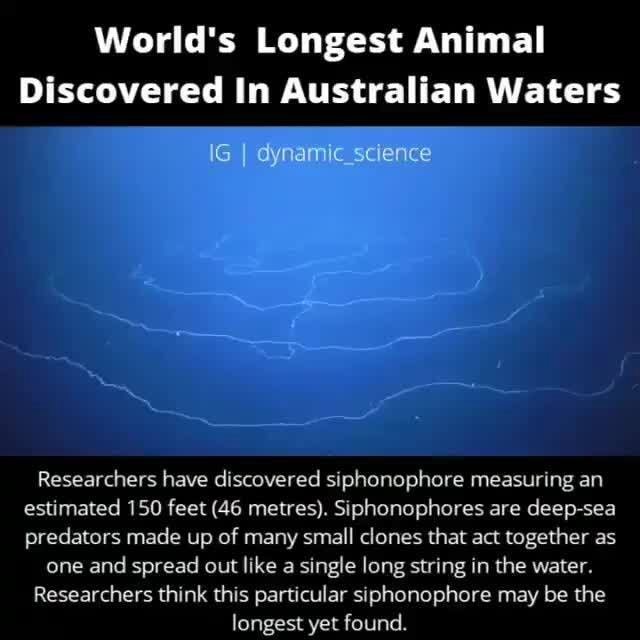 Dynamic Science on Instagram “It's twice as long as a Blue whale