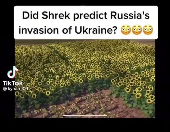 Get Ready for a Fearsome Invasion: Uncovering the Dark Side of Shrek Prince